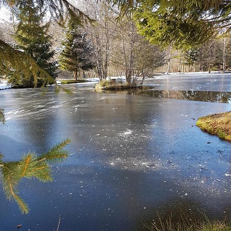 Insolite Chalet De Peche Serenite - Bien Etre Ban-sur-Meurthe-Clefcy المظهر الخارجي الصورة