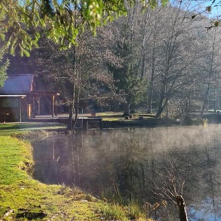 Insolite Chalet De Peche Serenite - Bien Etre Ban-sur-Meurthe-Clefcy المظهر الخارجي الصورة