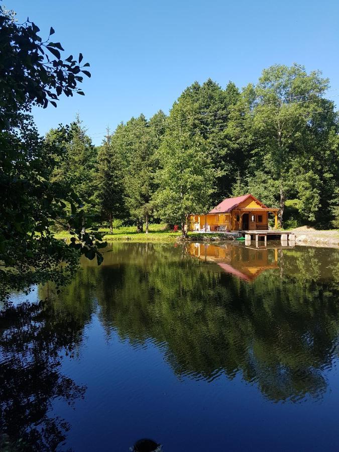 Insolite Chalet De Peche Serenite - Bien Etre Ban-sur-Meurthe-Clefcy المظهر الخارجي الصورة