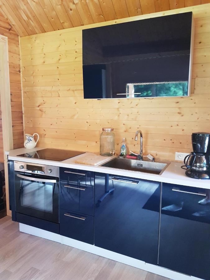Insolite Chalet De Peche Serenite - Bien Etre Ban-sur-Meurthe-Clefcy المظهر الخارجي الصورة