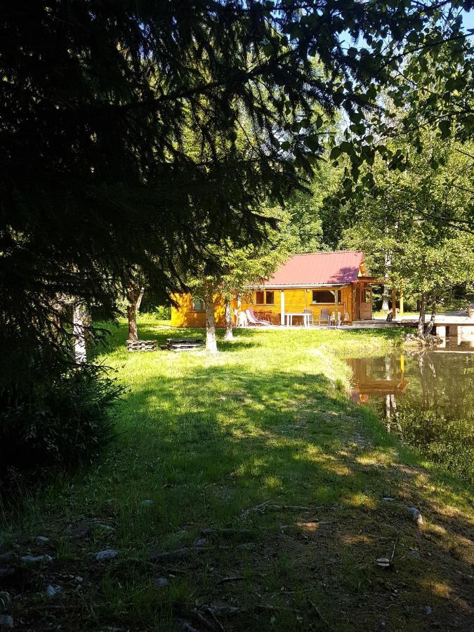 Insolite Chalet De Peche Serenite - Bien Etre Ban-sur-Meurthe-Clefcy المظهر الخارجي الصورة