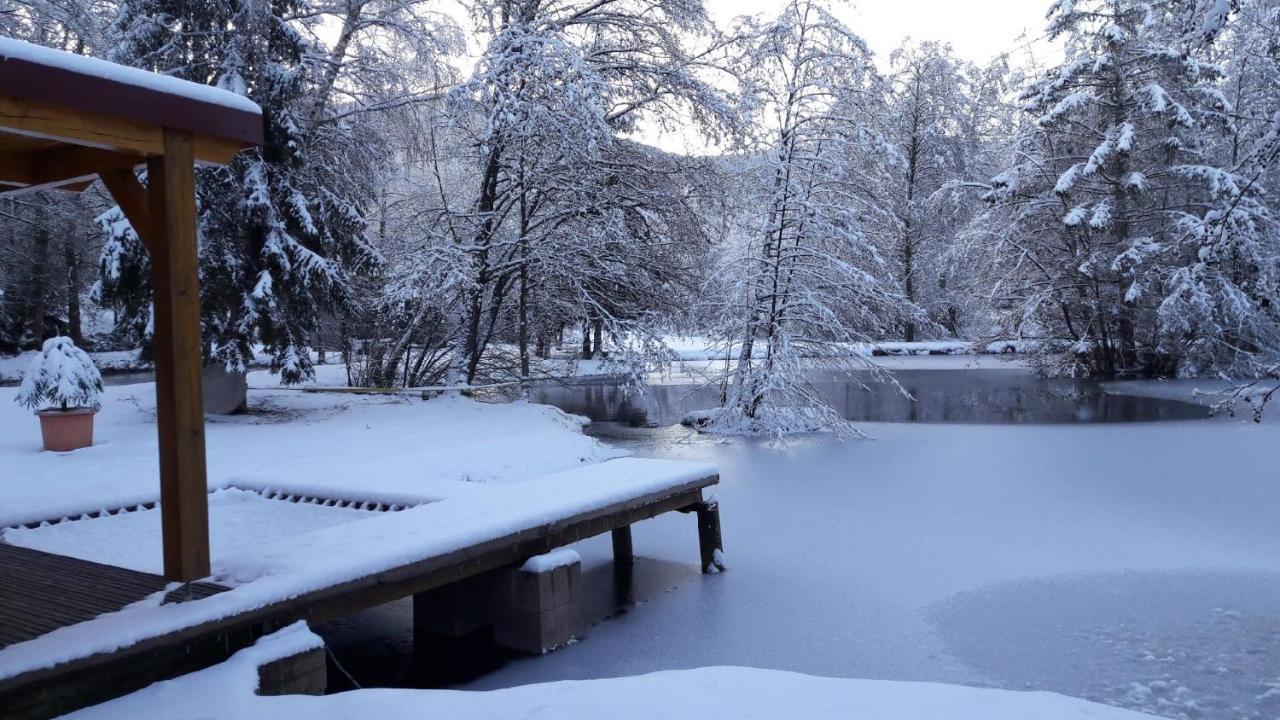 Insolite Chalet De Peche Serenite - Bien Etre Ban-sur-Meurthe-Clefcy المظهر الخارجي الصورة
