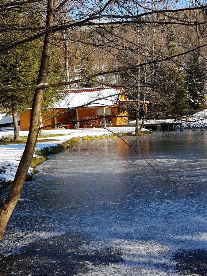 Insolite Chalet De Peche Serenite - Bien Etre Ban-sur-Meurthe-Clefcy المظهر الخارجي الصورة
