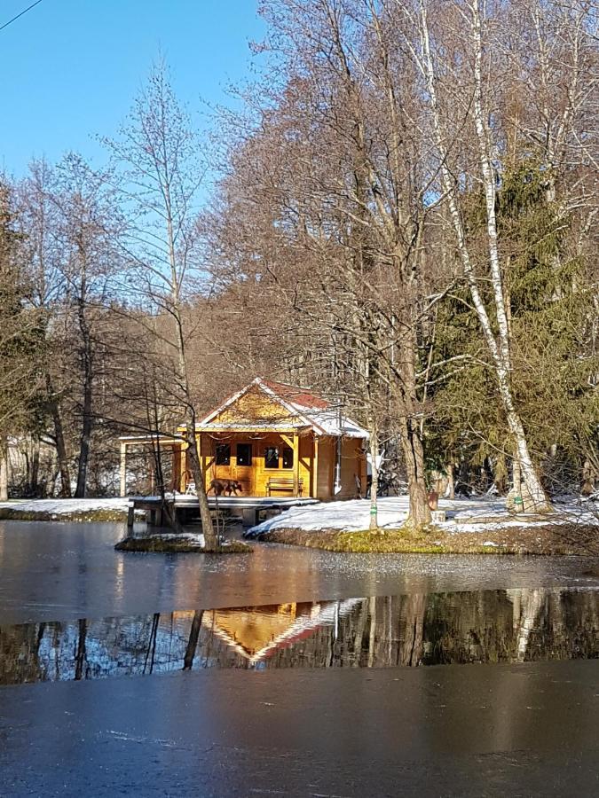 Insolite Chalet De Peche Serenite - Bien Etre Ban-sur-Meurthe-Clefcy المظهر الخارجي الصورة
