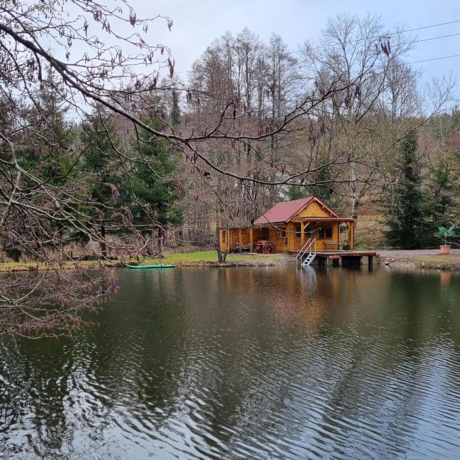 Insolite Chalet De Peche Serenite - Bien Etre Ban-sur-Meurthe-Clefcy المظهر الخارجي الصورة