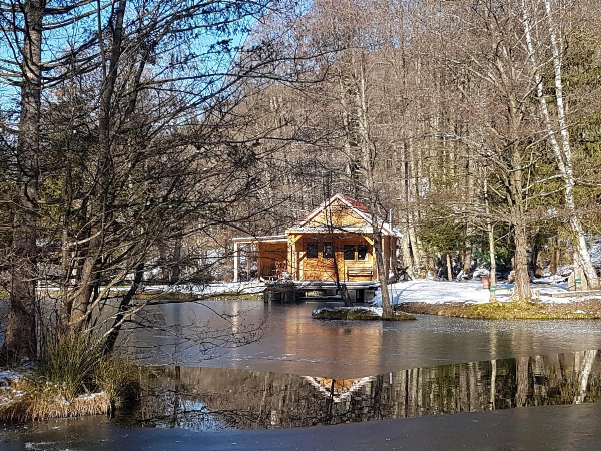 Insolite Chalet De Peche Serenite - Bien Etre Ban-sur-Meurthe-Clefcy المظهر الخارجي الصورة